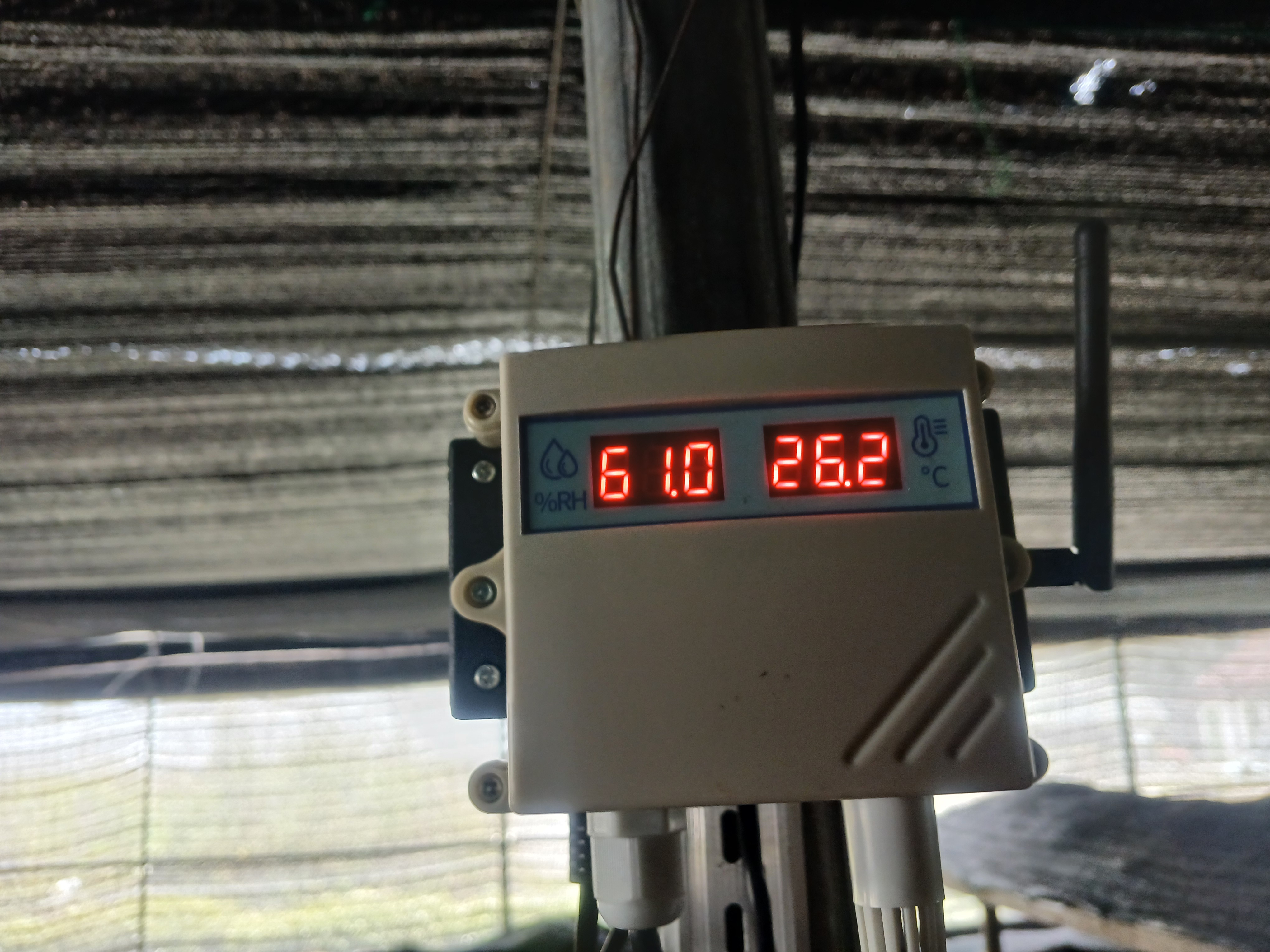 Detail gambar: 4.jpg